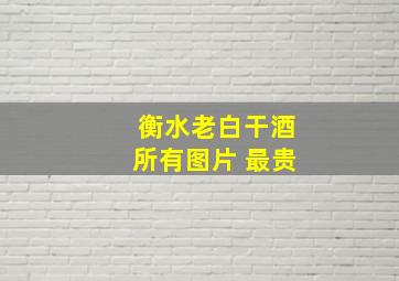 衡水老白干酒所有图片 最贵